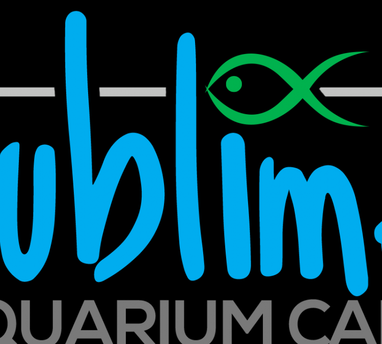 Sublime Aquarium Care (Loomis,&nbspCA)